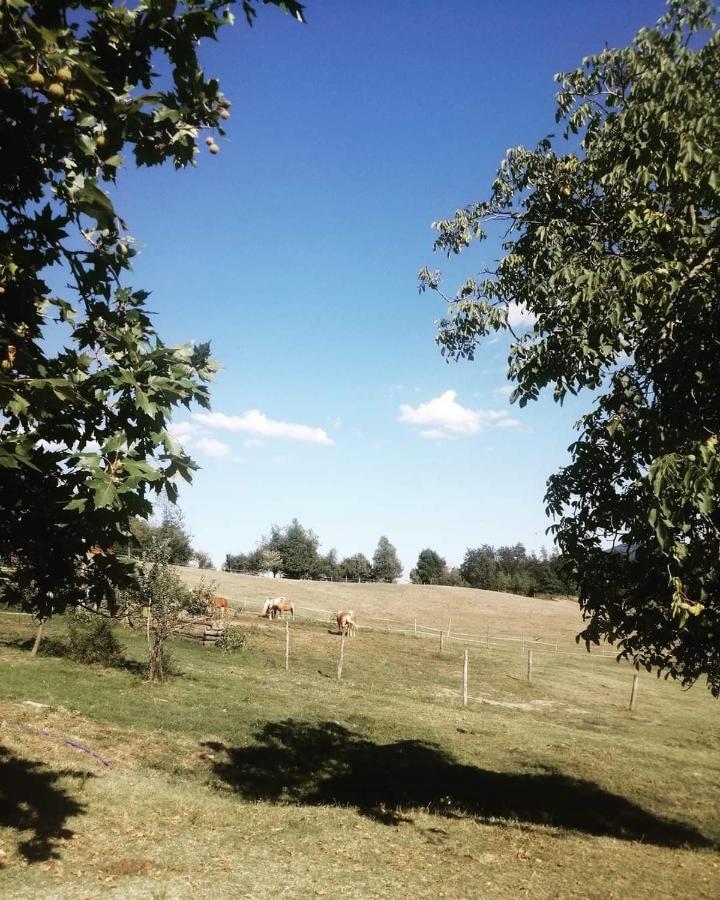 Monte Termine Country House Rioveggio Екстер'єр фото