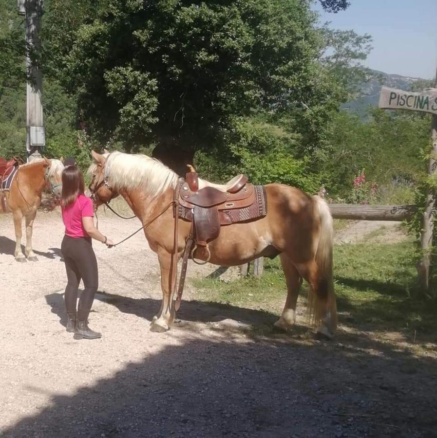 Monte Termine Country House Rioveggio Екстер'єр фото