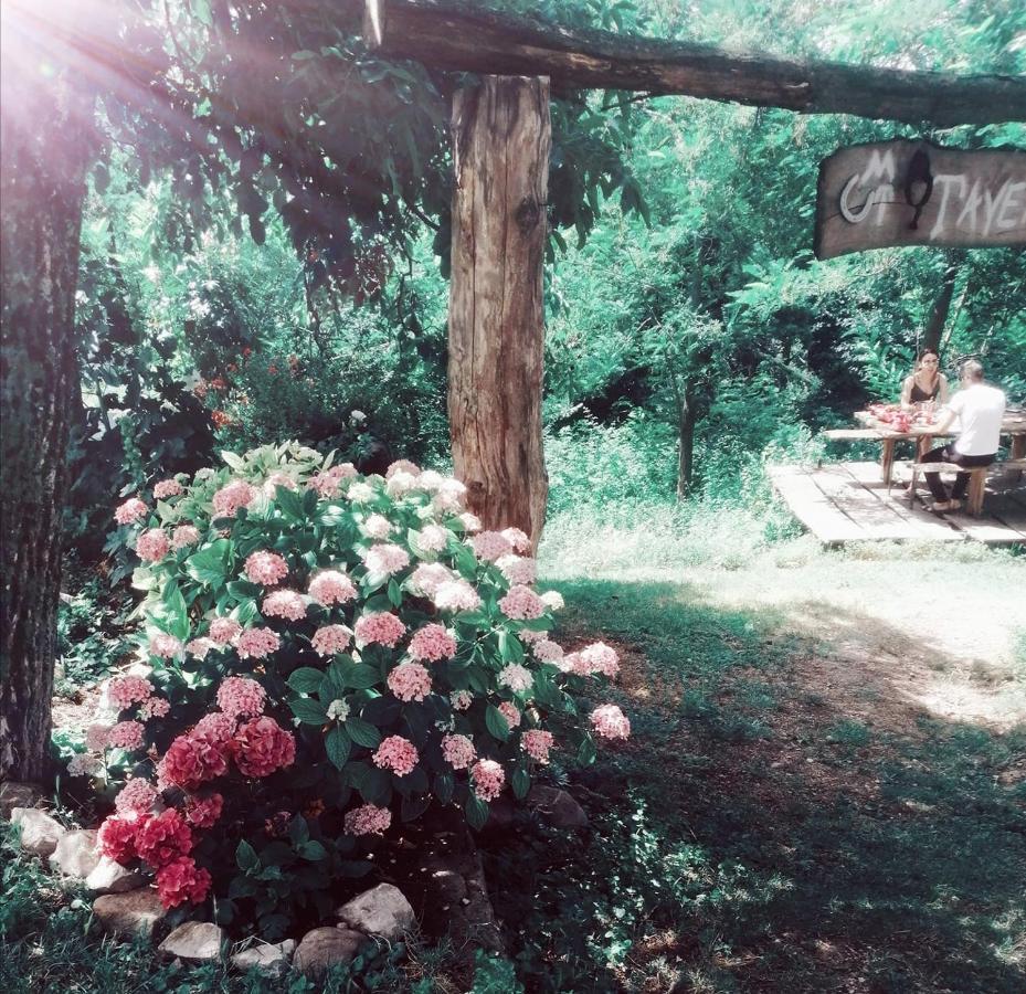 Monte Termine Country House Rioveggio Екстер'єр фото