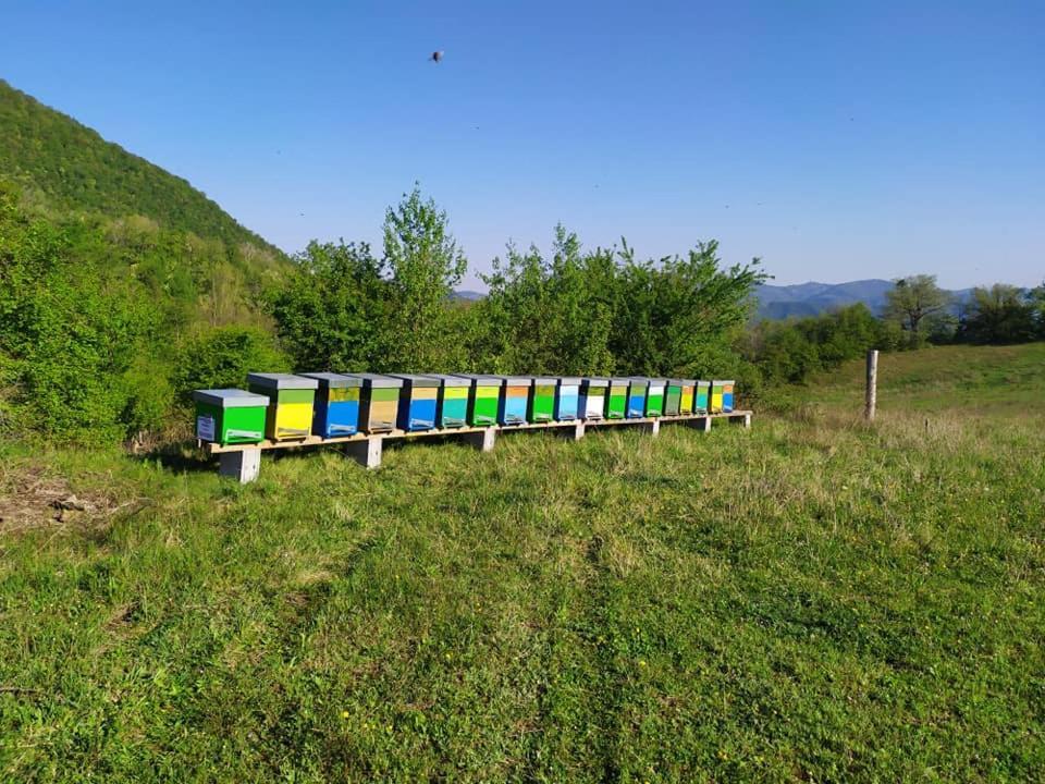 Monte Termine Country House Rioveggio Екстер'єр фото