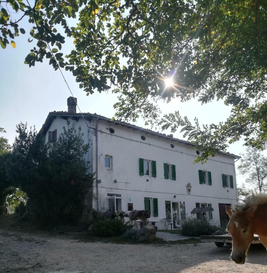 Monte Termine Country House Rioveggio Екстер'єр фото